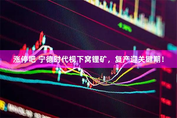 涨停吧 宁德时代枧下窝锂矿，复产迎关键期！